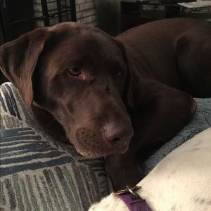 Meet your Posher, Missi